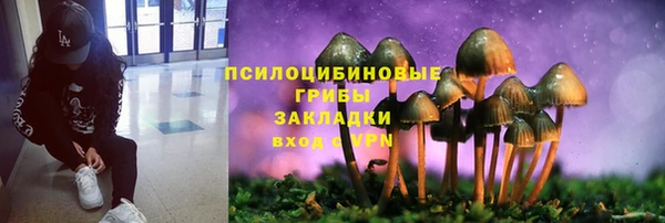 ПСИЛОЦИБИНОВЫЕ ГРИБЫ Богородск