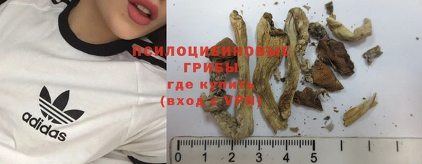наркотики Богданович