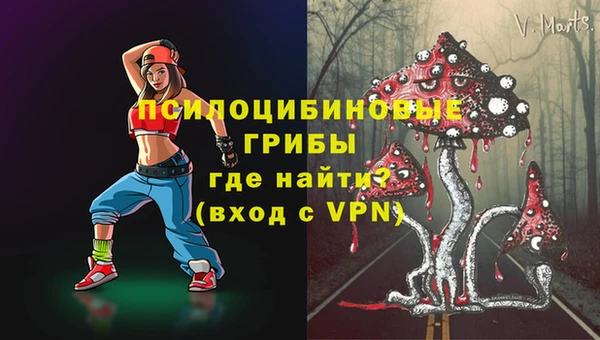 синтетический гашиш Богородицк