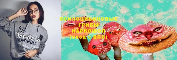 ПСИЛОЦИБИНОВЫЕ ГРИБЫ Богородск