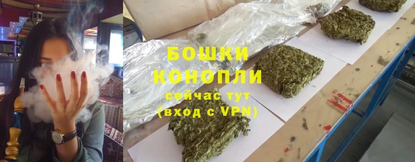 ПСИЛОЦИБИНОВЫЕ ГРИБЫ Богородск