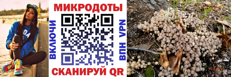 Псилоцибиновые грибы Psilocybine cubensis  кракен онион  shop какой сайт  Малоярославец 