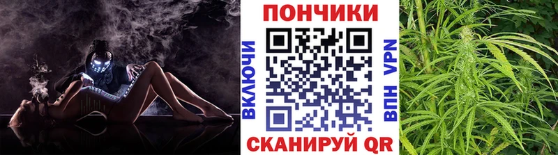Бошки Шишки гибрид цены Малоярославец